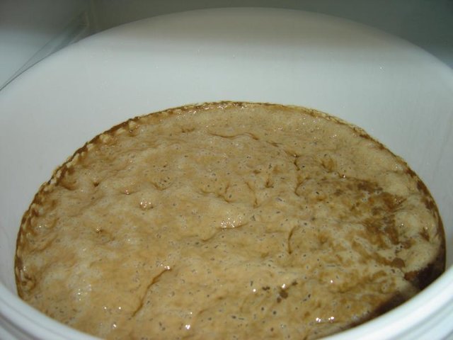 1338_Kraeusen_Tag_4.jpg