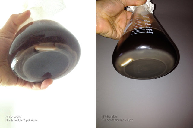 IMG_2165.jpg (335.97 KiB) 4793 mal betrachtet Die Vermehrung ist deutlich zu erkennen.