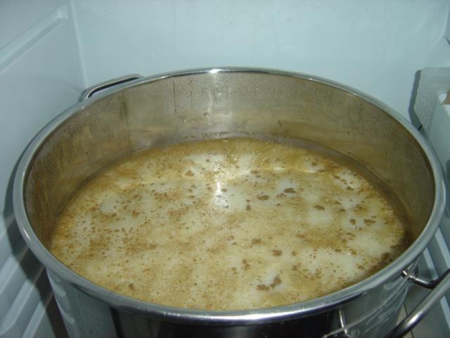 2112_Kräusen_Tag_1.JPG