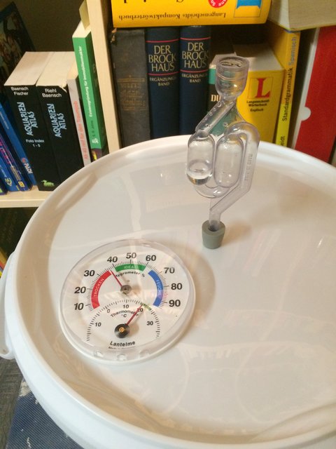 Hefe ist bereits nach 6h angekommen - dank Gärstarter