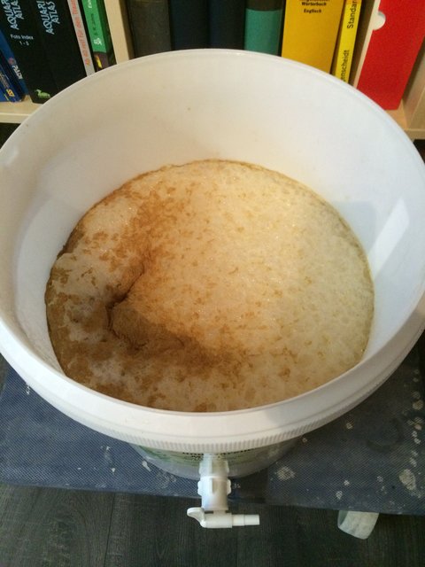So siehts nach 12h aus. Leider kann man ja noch keine Gerüche posten - einfach lecker und sowas von intensiv nach Hopfen!