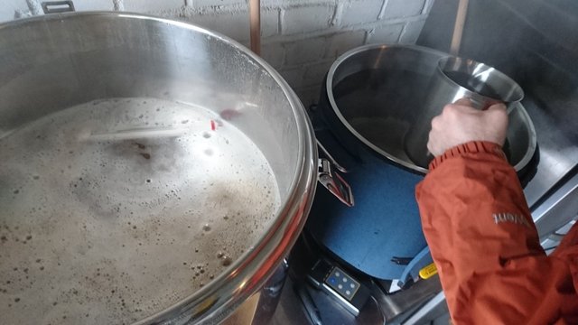 sehr-klein-IMG_20160117_130743.jpg