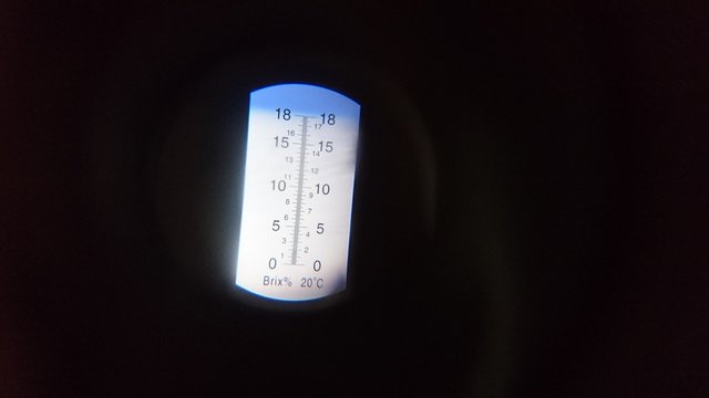sehr-klein-IMG_20160117_131149.jpg