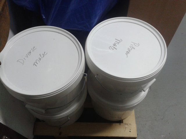 mein kleines Malzlager,...... ( sind Eimer 9 kg Malz, ungeschrotet,...