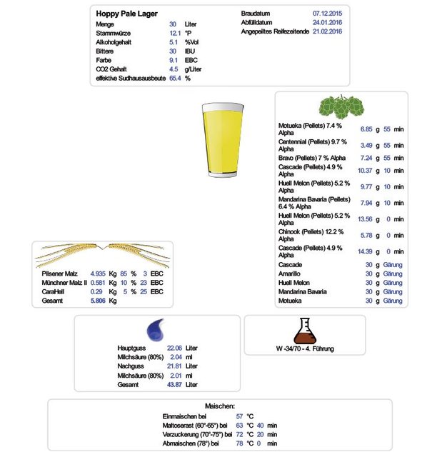 Hoppy Pale Lager.JPG