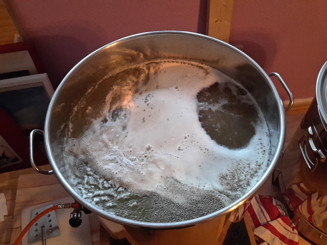 Wüze kochen 90min. VWH Tettnanger, 70min Northern Brewer, 15min Perle(Dolden).