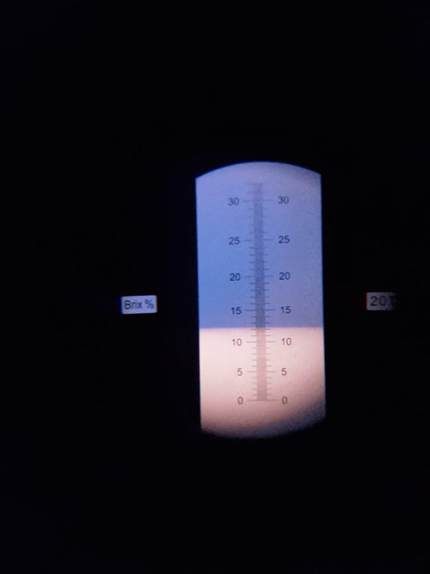 Für heute fertig 12,2 Brix. Mehr als 42 Liter. Lief gut.