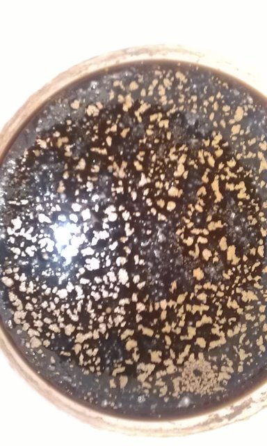 Schimmel oder Pellicle?