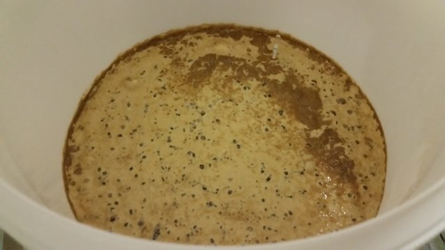 2016-02-06 16.07.40.jpg