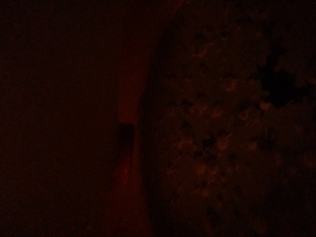 20160210_202249.jpg