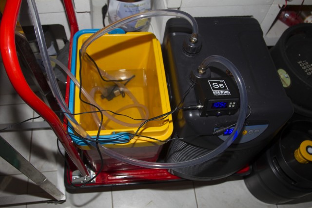 &quot;Ausgleichsbehälter&quot; von innen. Das Wasser läuft vom Fermenter in den Ausgleichsbehälter, dort saugt die Pumpe das Wasser an und drückt es in den Aquarienkühler, von dort gelangt es in den Fermenter.