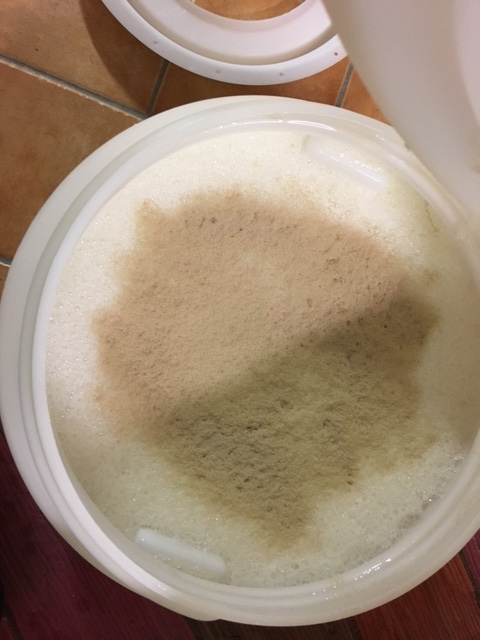 Viel Schaum wegen das starke Schütteln zum Belüften. Trockenhefe einfach oben drauf. 19,5 Brix, etwa 17 Liter. Angepeilt waren 20 Brix. Aber passt.