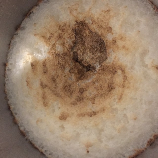 Erster Tag Gärung.jpg