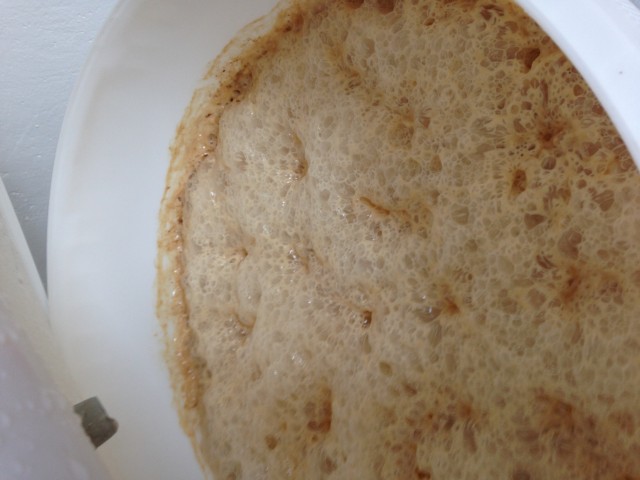 IMG_3384.JPG (1.5 MiB) 8351 mal betrachtet Schaumteppich US-05