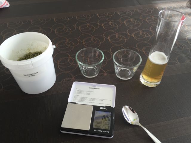 Hopfen vorbereiten ...