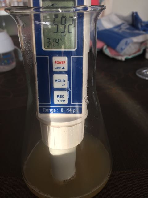 PH - Wert Würze ...