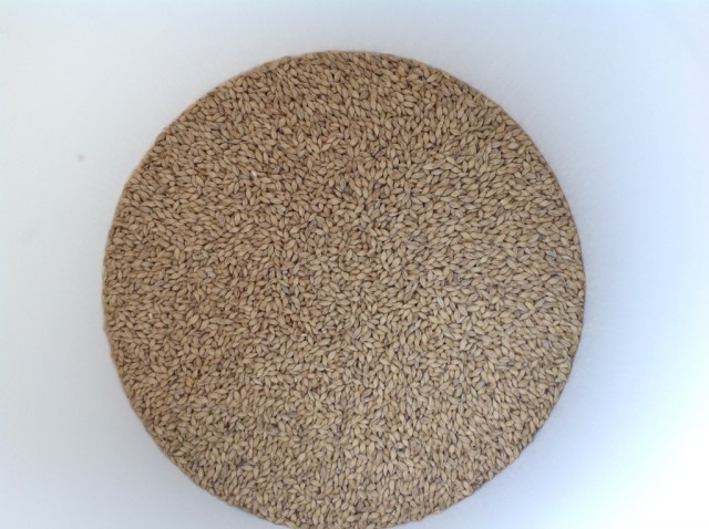 2-Schroten.JPG (744.5 KiB) 8990 mal betrachtet Pilsener Malz vor dem Schroten...