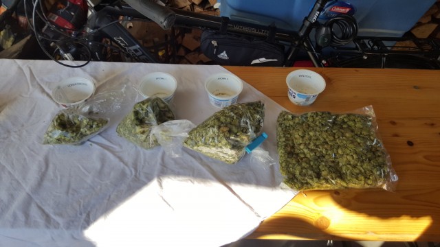 9-Hopfen.jpg (435.51 KiB) 8990 mal betrachtet Massen von Hopfendolden.