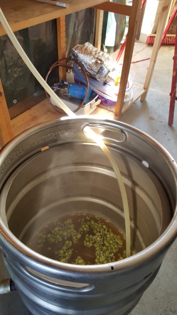 10-Vorderwürzehopfung.jpg (965.29 KiB) 8825 mal betrachtet Vorderwürzehopfung.