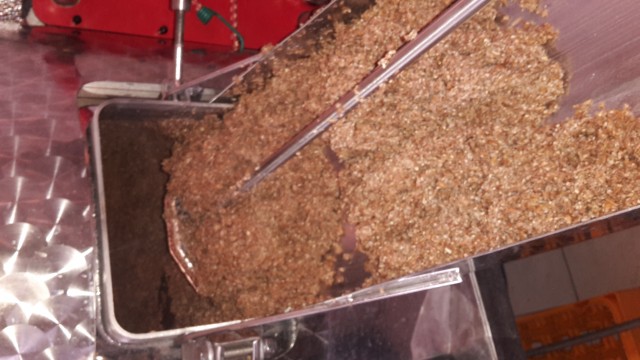 20160301_110522.jpg