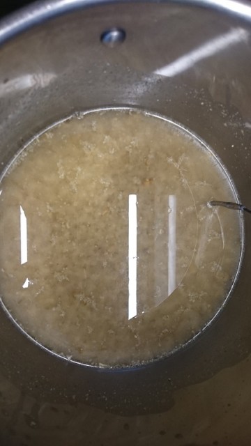 70_3.JPG (92.73 KiB) 14751 mal betrachtet Polenta Maische nach 70 min bei 67°C