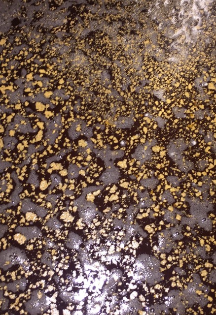 Hefe Oberfläche.jpg