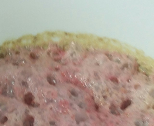 20160223_094956-1.jpg (1.23 MiB) 42279 mal betrachtet Mit Himbeere