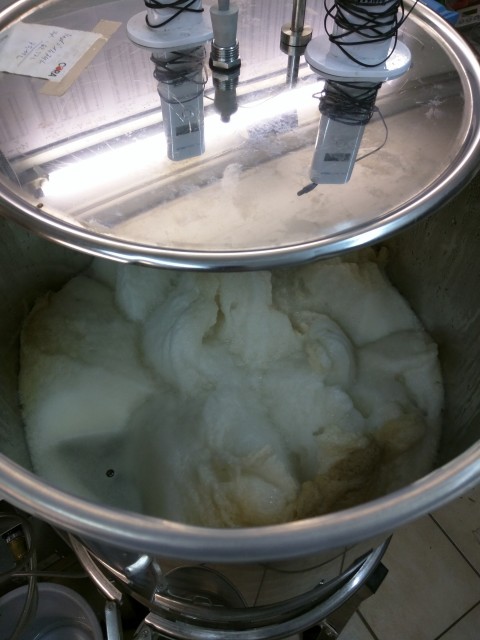 IMG_20160314_085640.jpg (960.23 KiB) 20949 mal betrachtet Kräusen