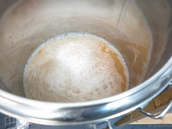 Bier1-20.jpg