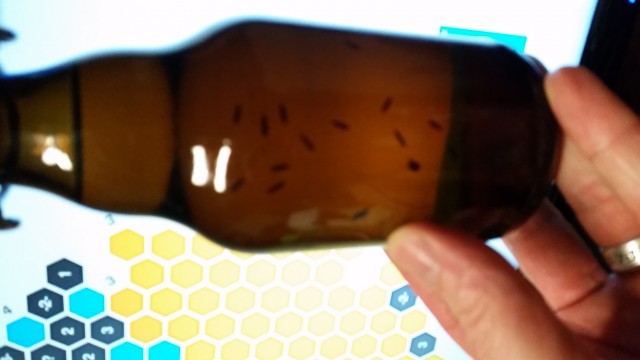 20160325_202755.jpg