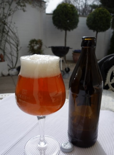 Mexican Summer IPA