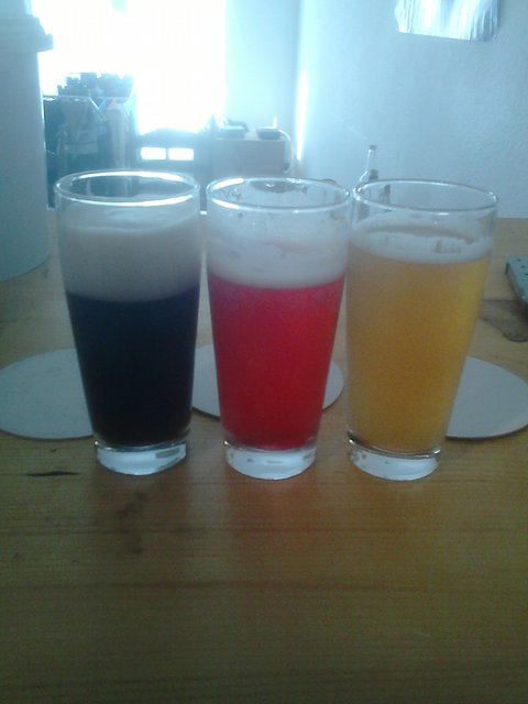 Honey Porter, Himbeer Ale, Helles