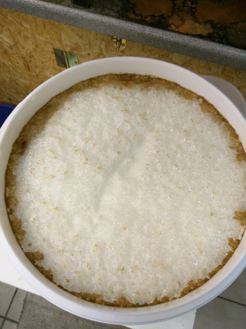 IMG_20160410_210418.jpg (1.36 MiB) 20221 mal betrachtet Kriek