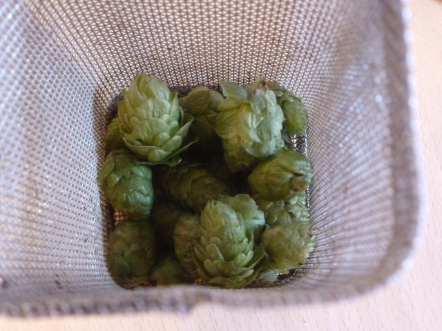 Die in der Hallertau selbstgezupften Hopfendolden friert Zsolt ein. Daher ist der Hopfen dann wirklich frisch beim Brauen. Das ist einer der Hopfengitterkörbe.