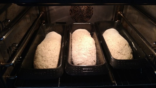 1 Kg Portionen abgewogen, grob geformt und in den Formen in den Ofen zur 2. Gärung.