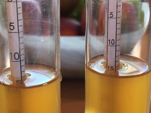 13,5 oder 14,5°P?