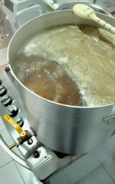 Hopfen kochen