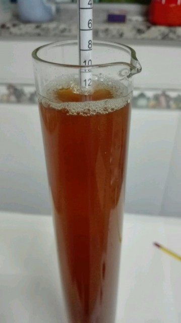 12° P Stammwürze