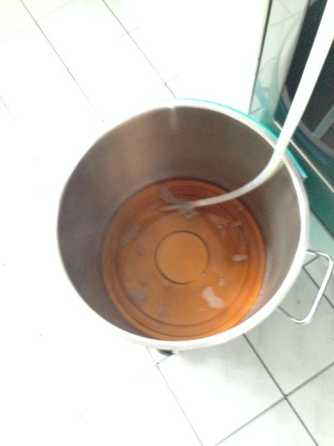 ... leutert prima, nach 30 min war alles durch und klar.<br />Vorderwürze 22 Liter mit knapp 12° P