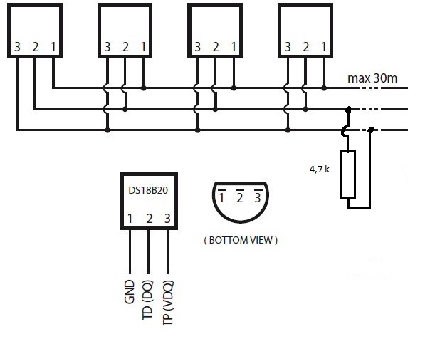 Bus-Schematic.jpg