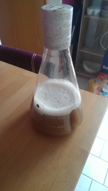 Am nächsten Tag: Hefe ist angekommen
