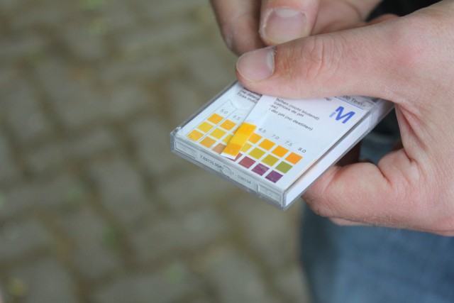 Maische pH-Wert gemessen. Lag zwischen 5,0 und 5,5. Also da wo er hinsoll