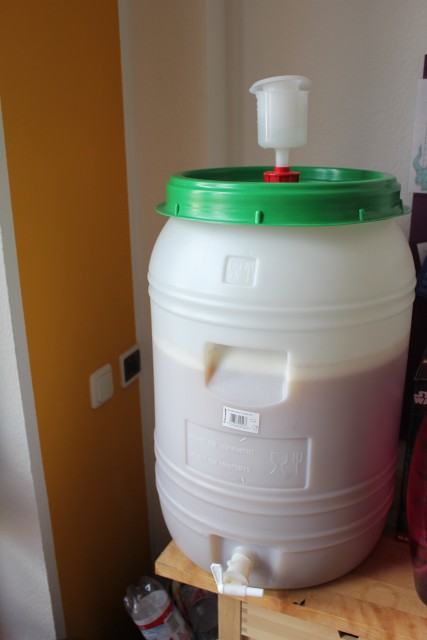 Da ist es. Stammwürze waren 13,4° Plato bei 40l, habe noch mit 4,5l Wasser auf 12° verdünnt. Dann heute morgen die Hefe dazu und kräftig belüftet. Heute abend war die Gärung schon voll im Gang. Schönes Kräusen. In der zweiten Führung scheint die BRY-97 nicht so eine Schlaftablette zu sein.