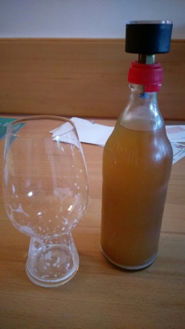 IMAG0028-600x1066.jpg