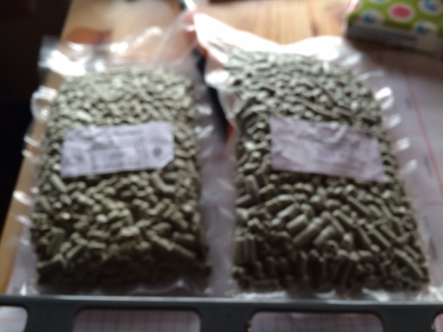 Der Hopfen..extra etwas unscharf..weil hochgeheim...