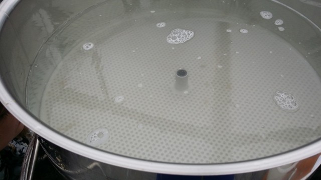 20160611_094654.jpg