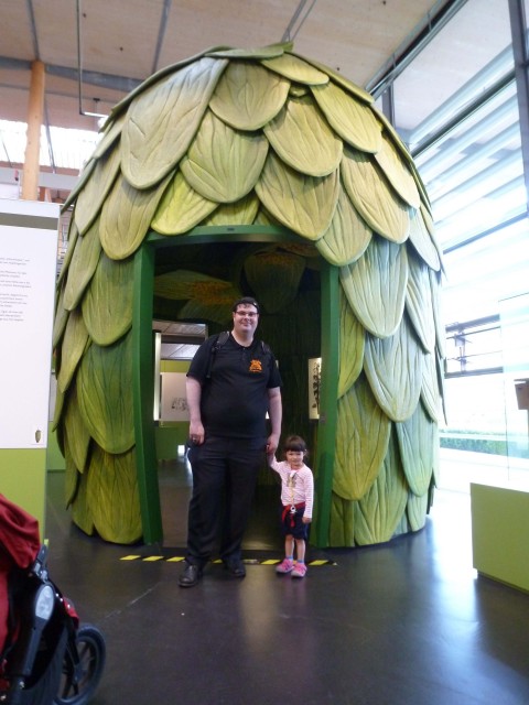 Durch die Hopfendolde hindurch ist der Start ins Hopfenmuseum.