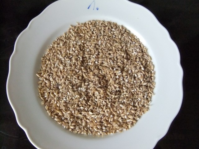 Schrot1.JPG