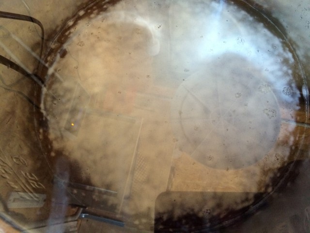 2016-06-15 12.05.55.jpg (254.7 KiB) 18928 mal betrachtet Schaumteppich nach rund 16h