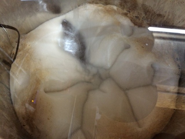 2016-06-16 06.08.47.jpg (258.13 KiB) 18928 mal betrachtet Schaumteppich nach rund 34h